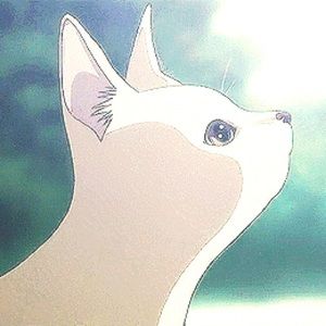 Meet your Posher, Yisi